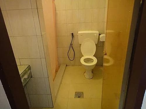 Holiday View Inn Taman Negara - photo 7