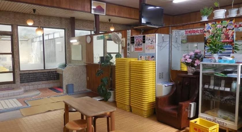 Tatamiya Inn - photo 18