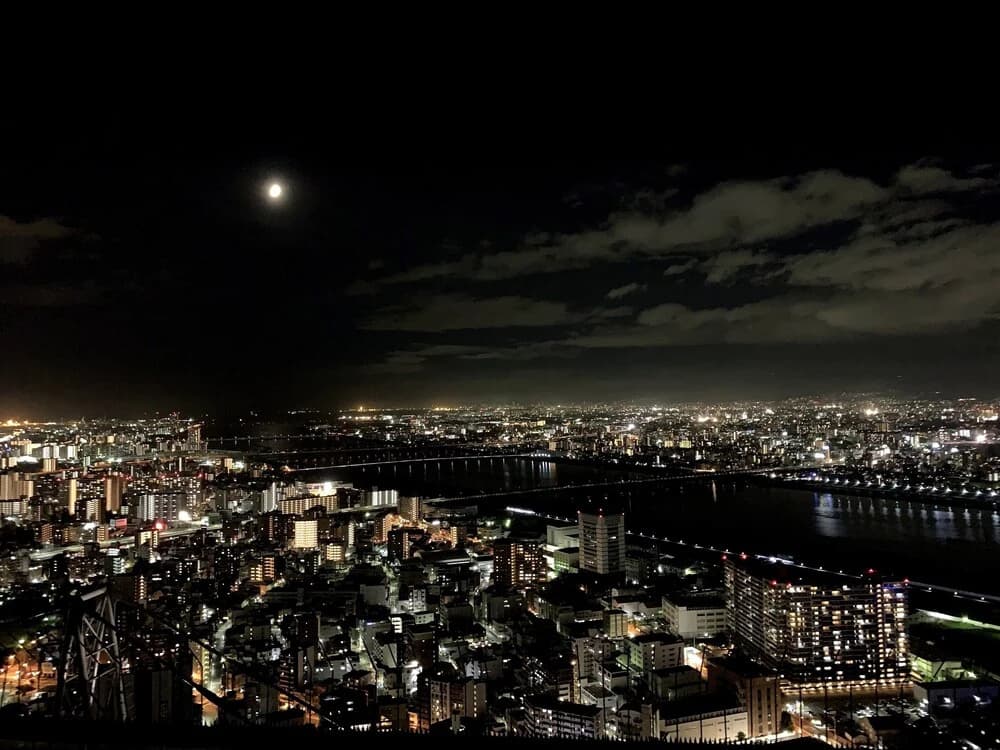 Minn Osaka-North - photo 16