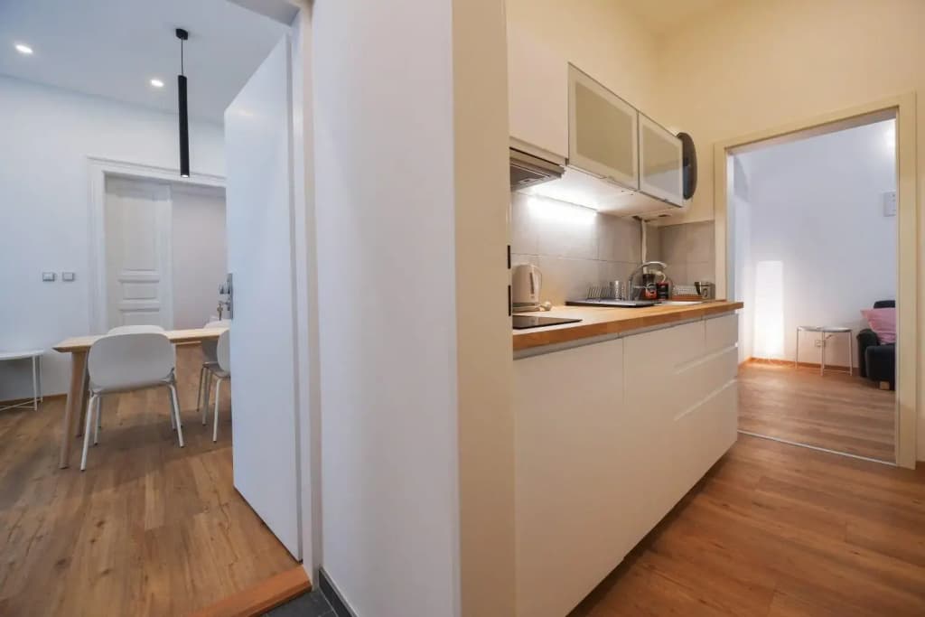 Duplex Apartment - photo 16