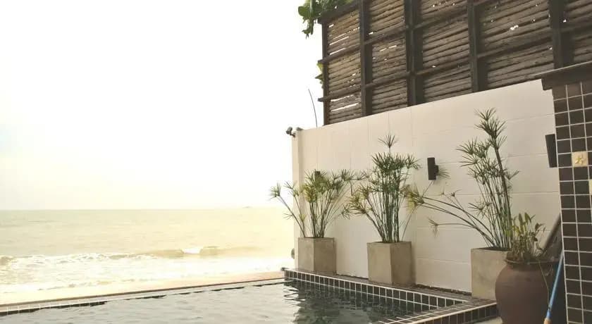 The Herbs by The Sea - photo 28