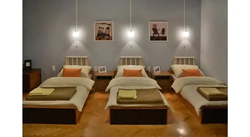 Cat and Co Guesthouse - photo 4