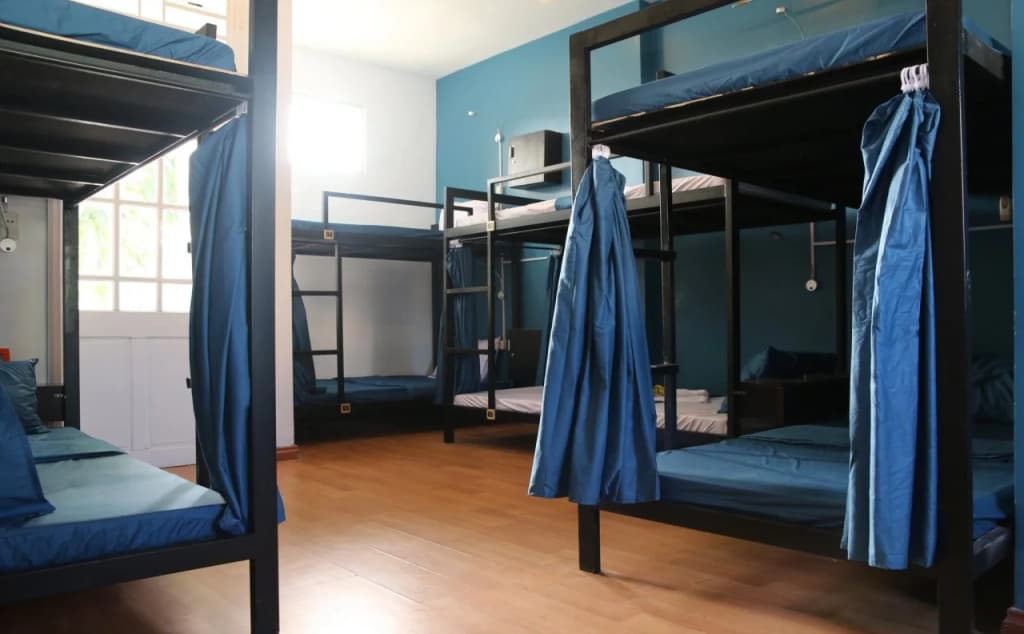 4 Seasons Hostel - photo 5