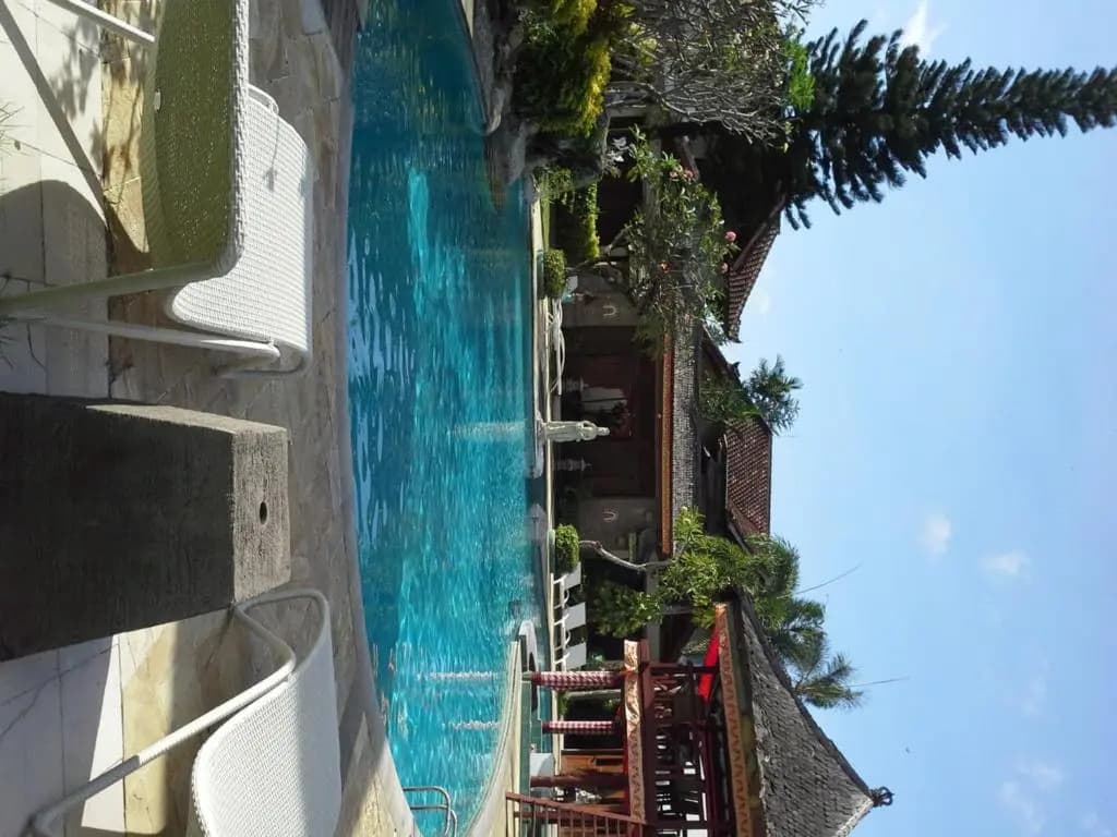 Ananda Resort Seminyak - photo 5