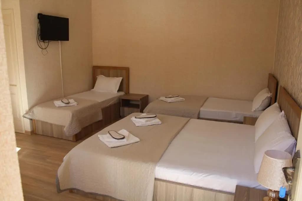 Emis Hotel - photo 5