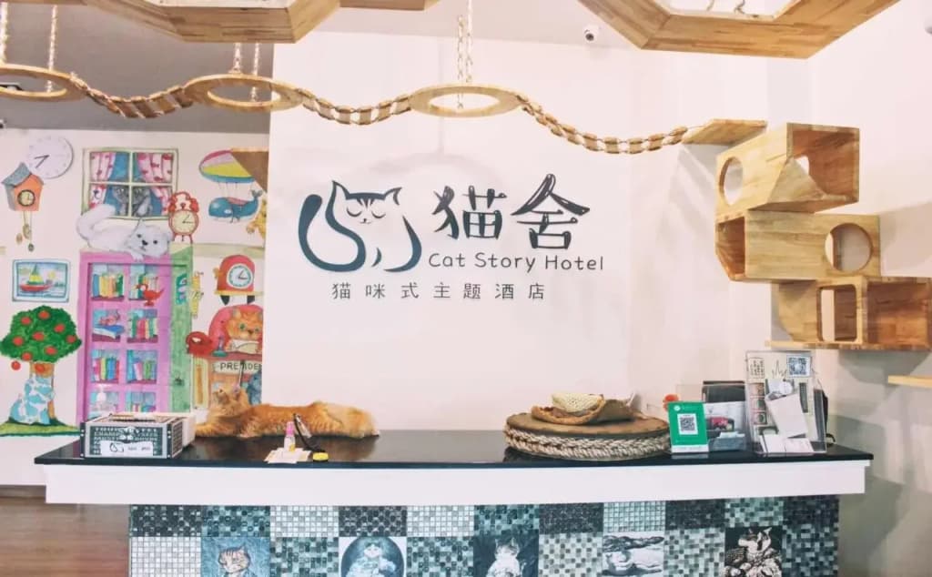 Cat Story Hotel - photo 14