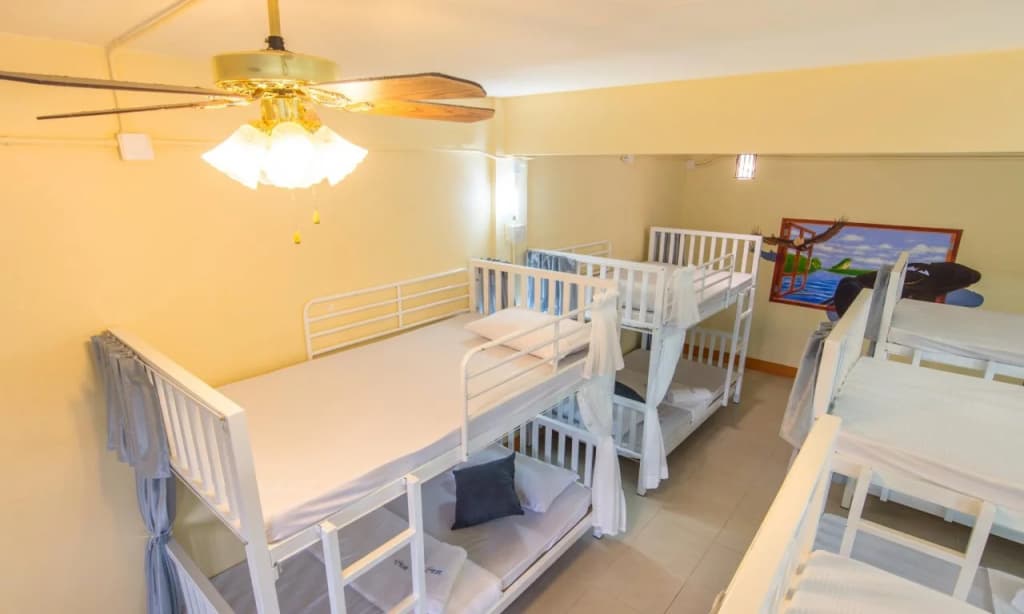 Chaofar De Hostel - photo 11