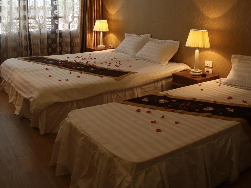 Real Hanoi Hotel - photo 4