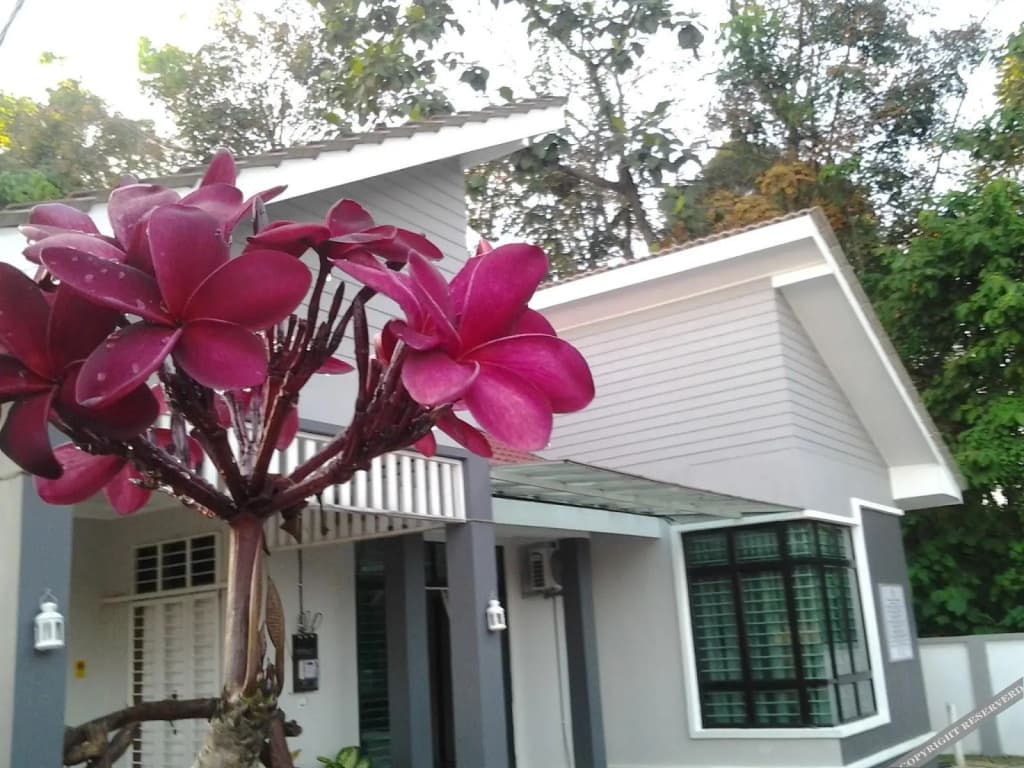 Morak Villa Resort - main photo