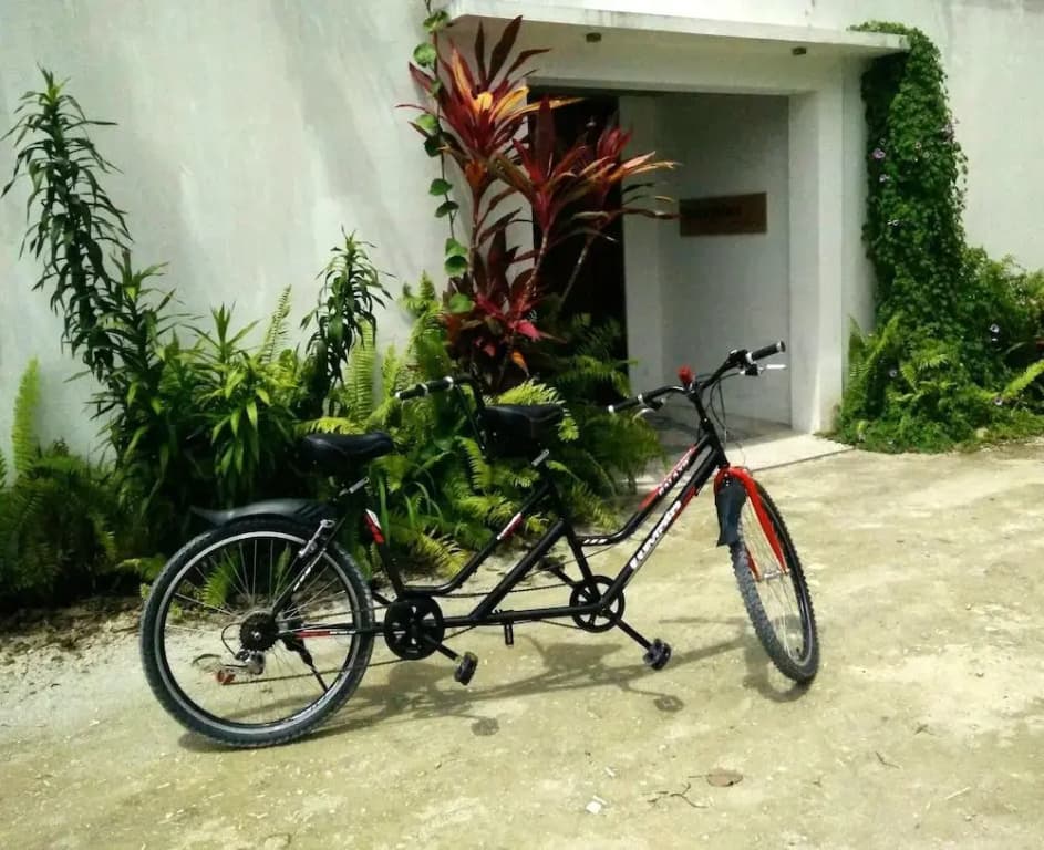 Amra Palace Laamu - photo 20