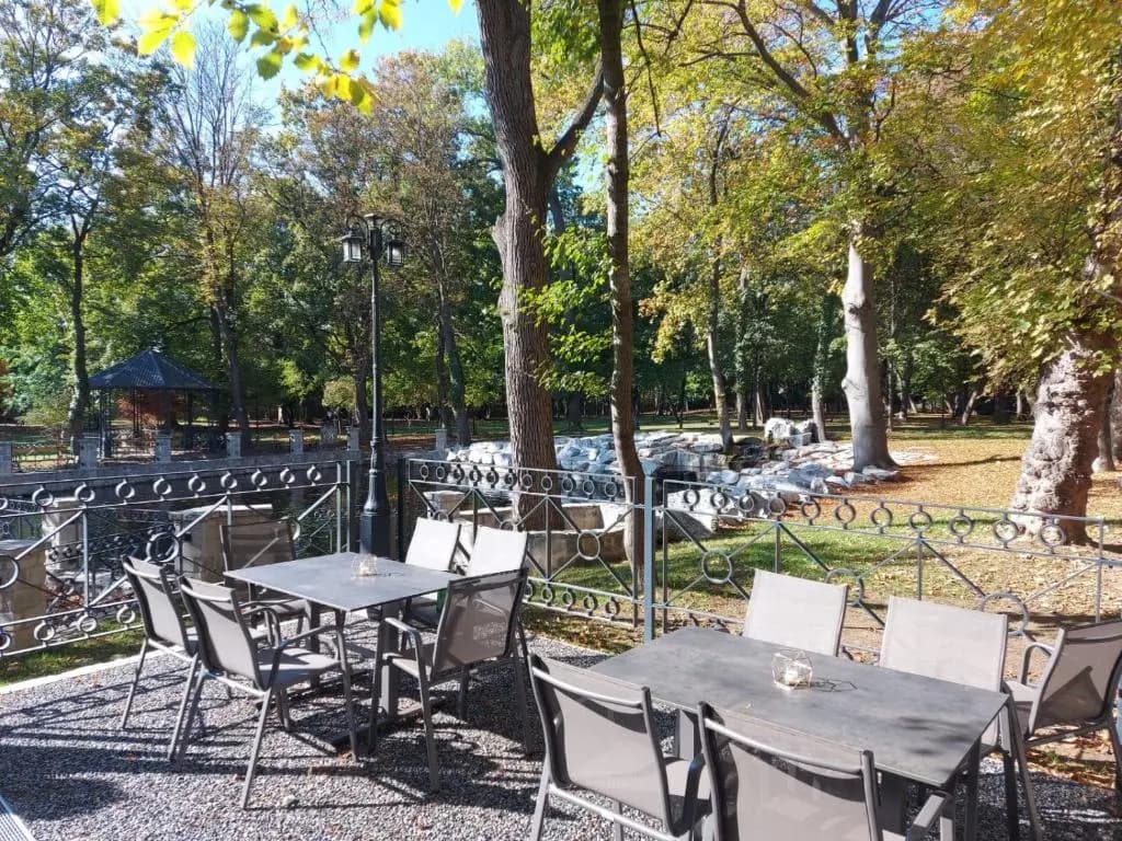 Gartenhotel Altmannsdorf - photo 4