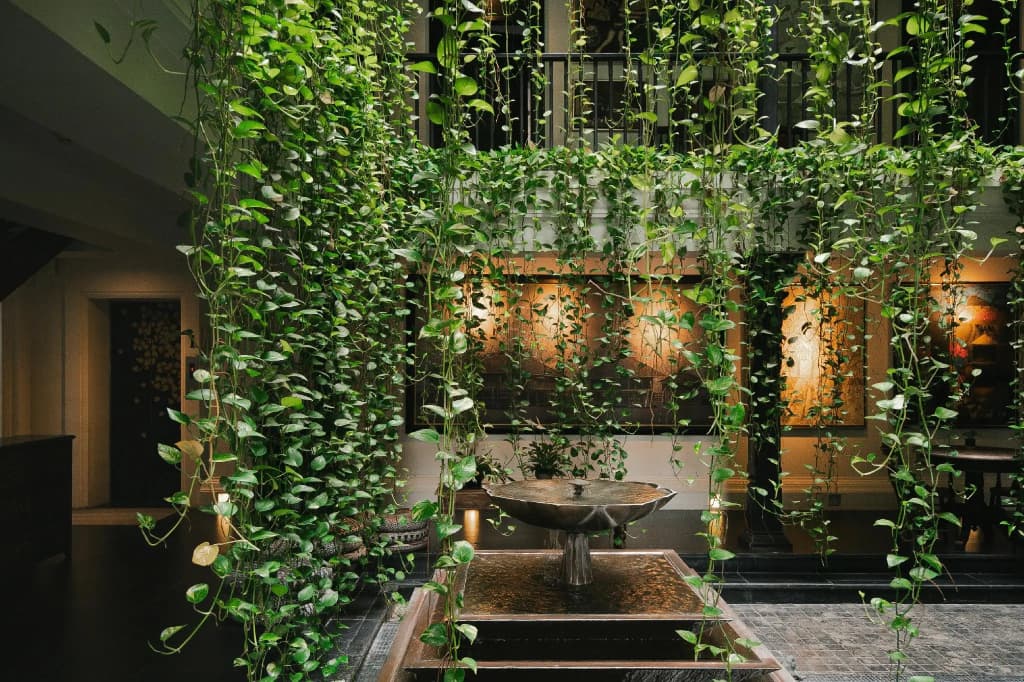 Makkachiva - photo 17