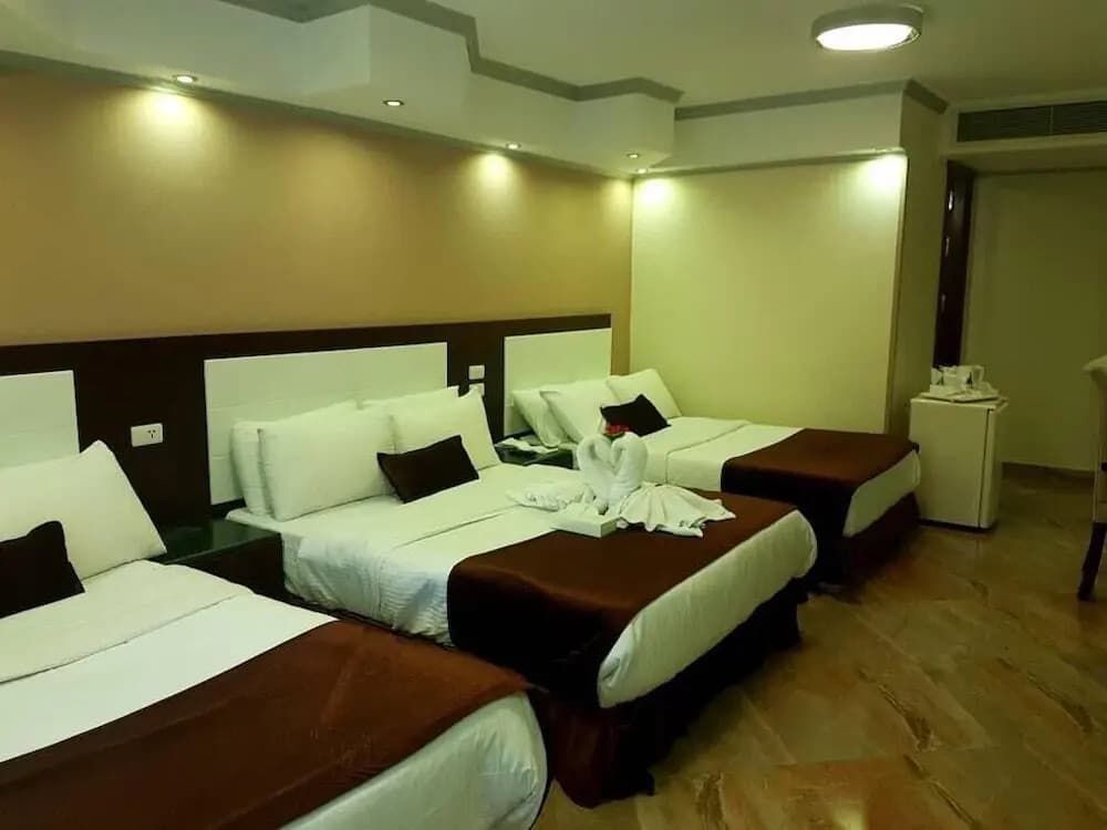 Nile Meridien Hotel - photo 4