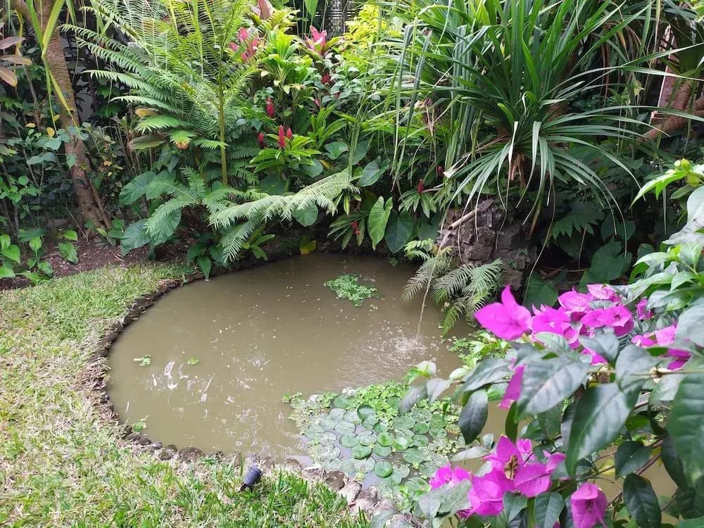Gopala Villa Ubud - photo 11