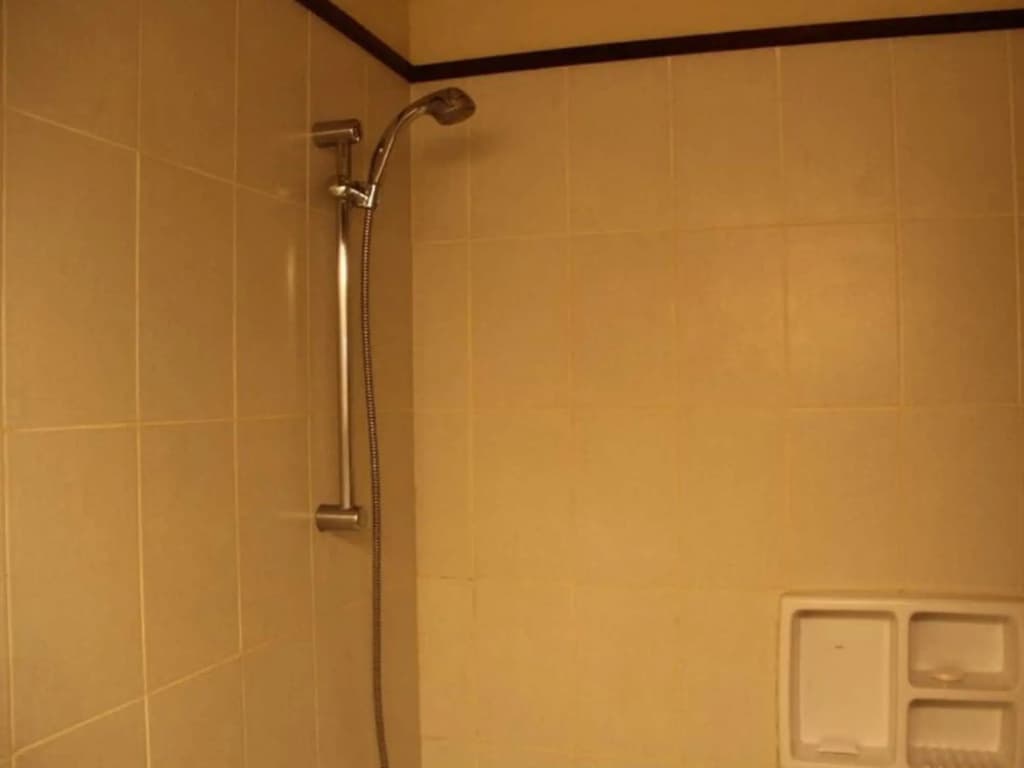 Besakih Beach Hotel - photo 9