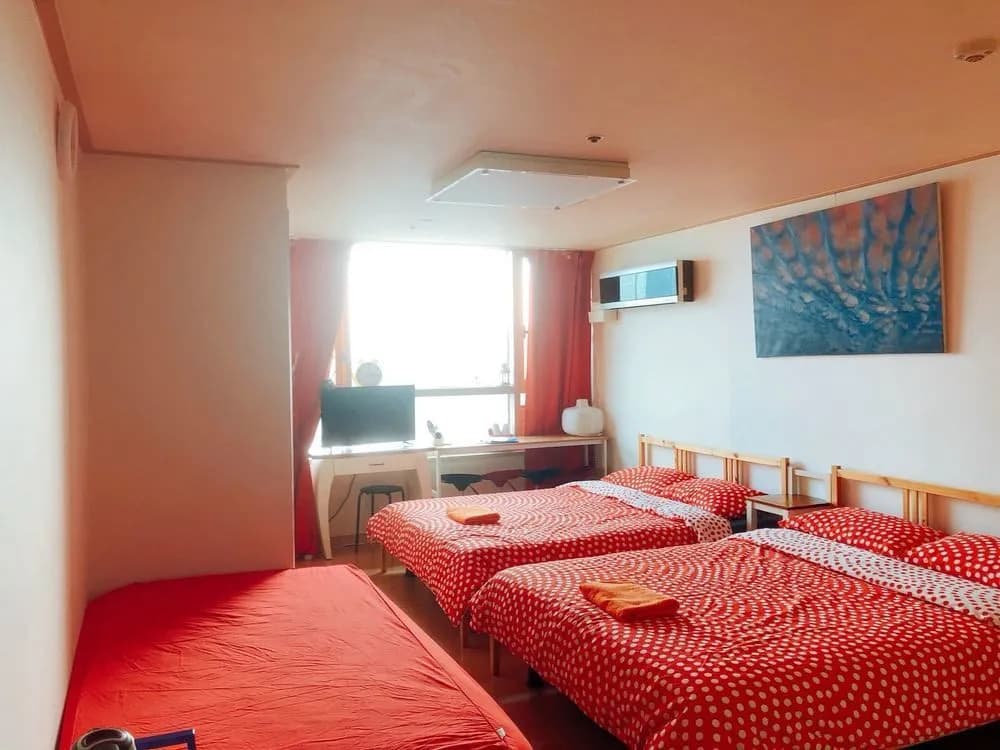 KOKO House - photo 6