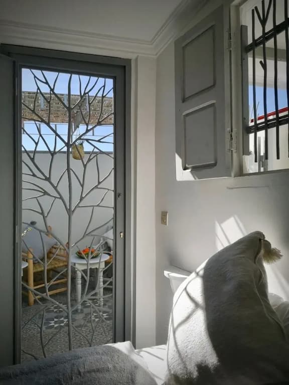 Riad Zarka - photo 18