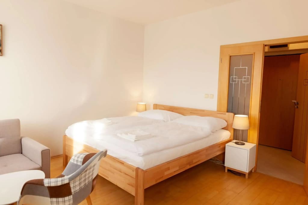 Vitkov Park Apartment - photo 4