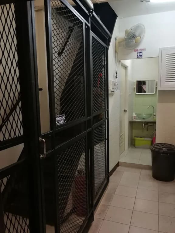 Sip N' Camp - Hostel - photo 11