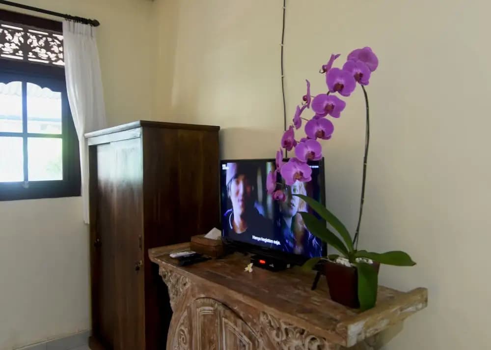 Arik's Homestay - photo 2