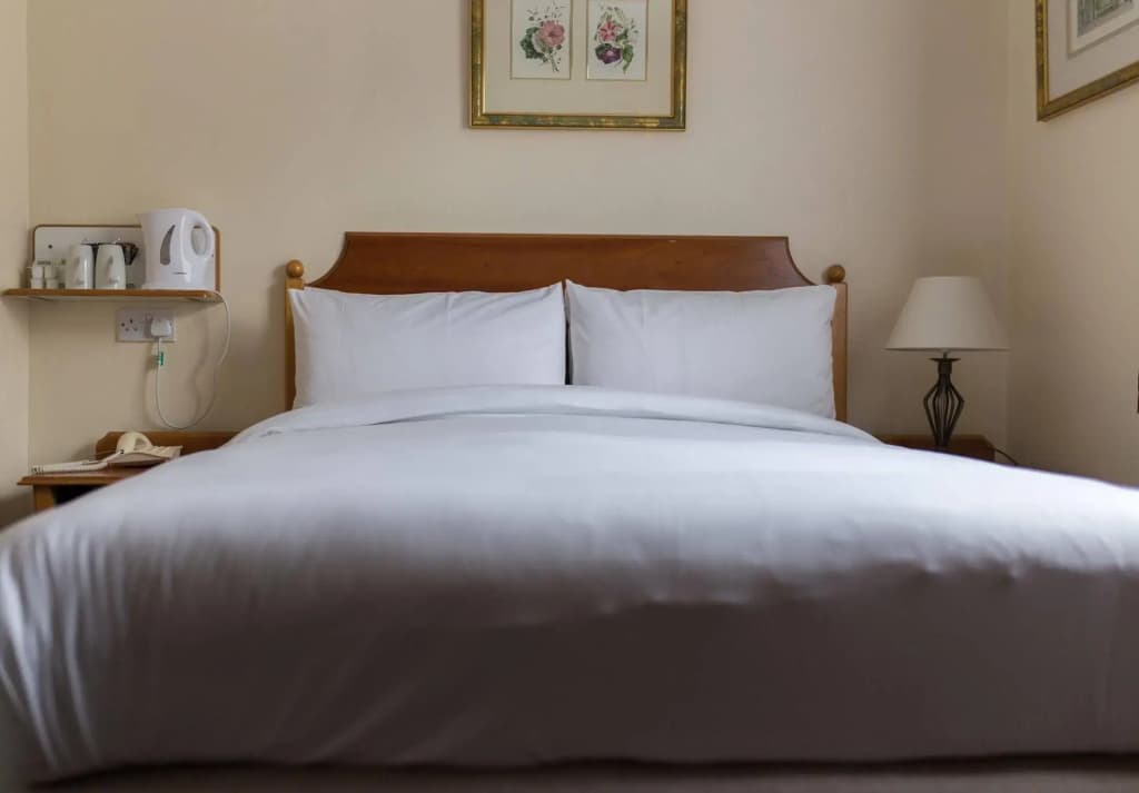 Mornington Victor Hotel London Belgravia - photo 6
