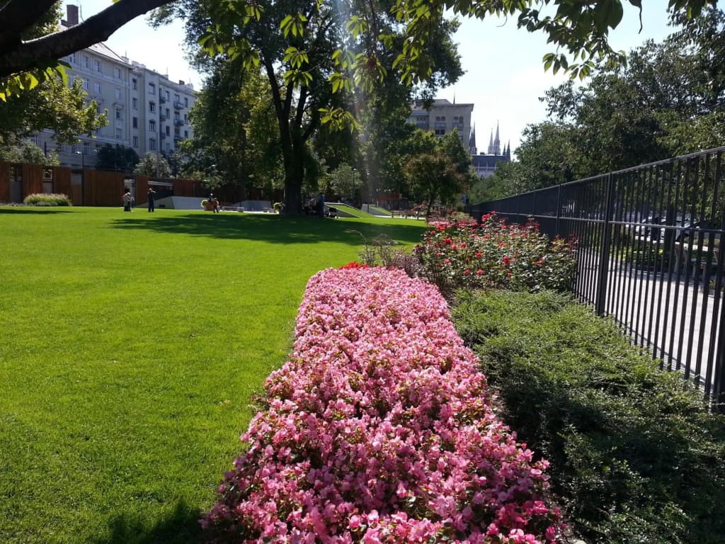 Balaton Delux Apartment - photo 10