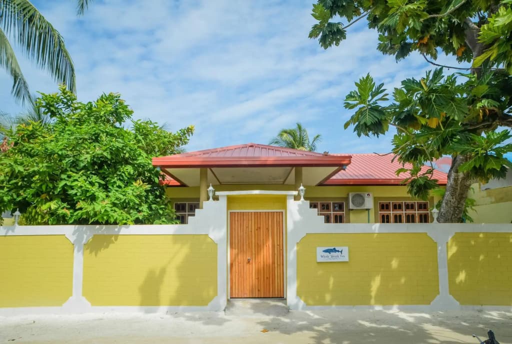 Whale Shark Inn Maldives - photo 14