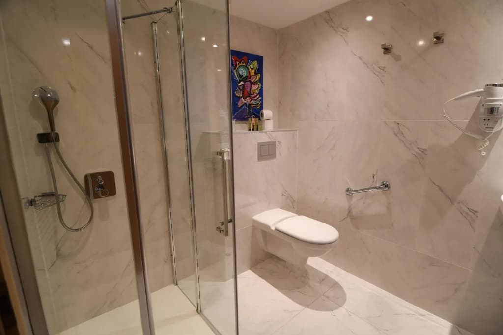 Aida Opera Hotel - photo 9