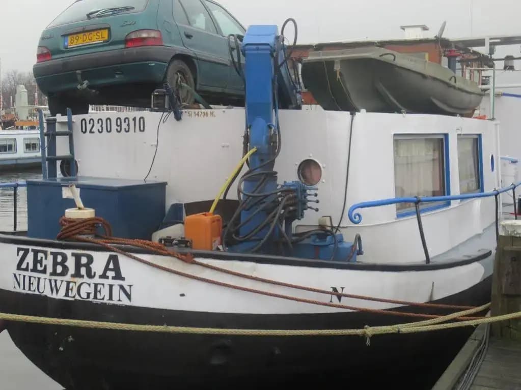 Botel Zebra - photo 6