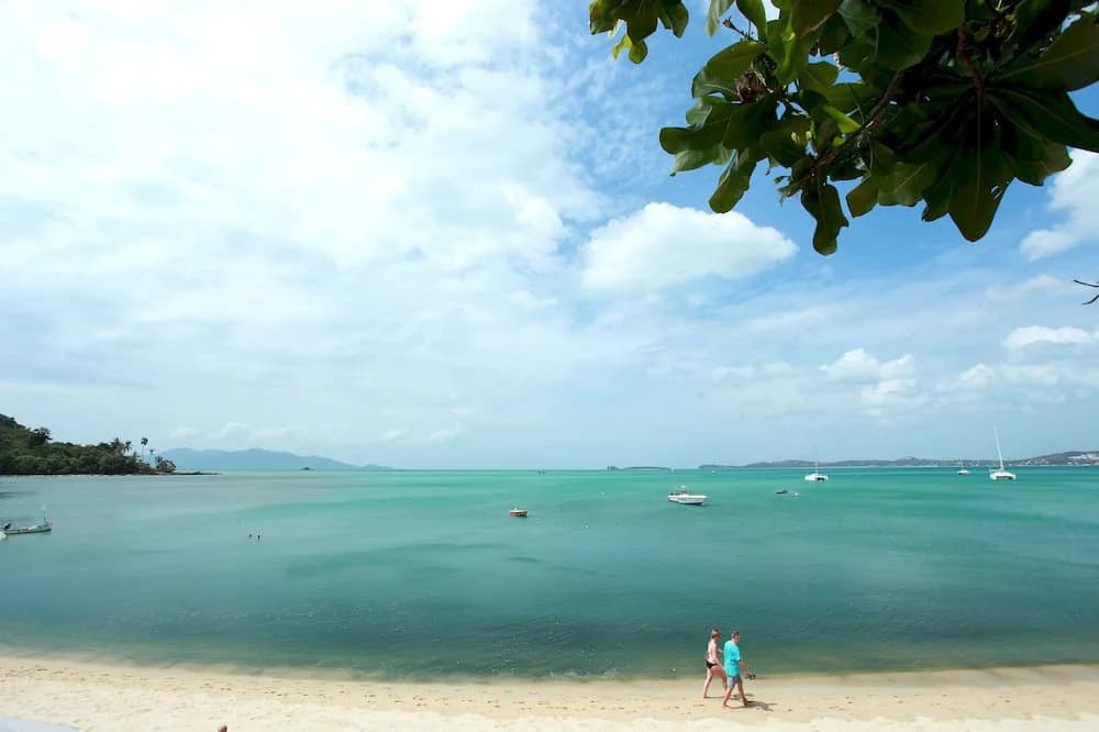Sandy Resort - photo 11