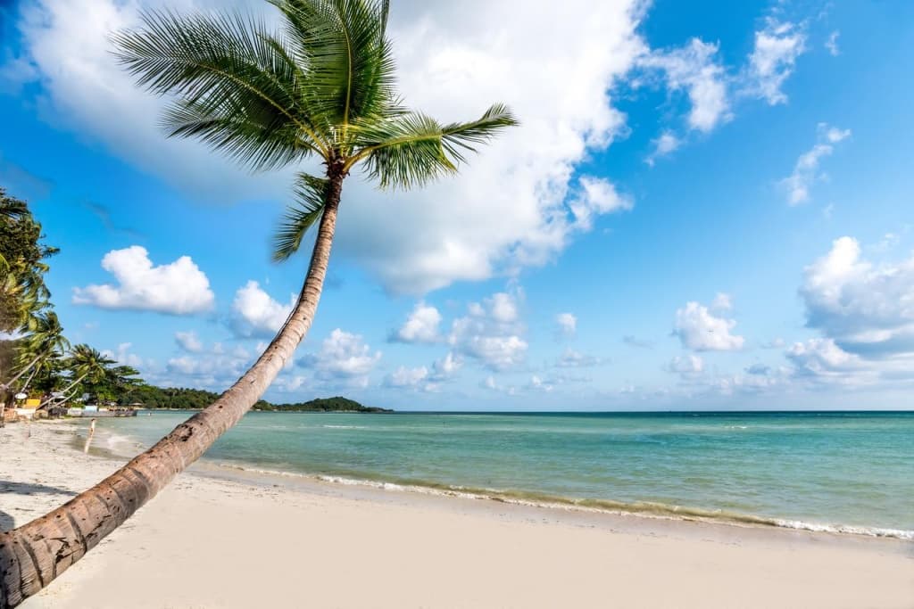 Beyond Samui - photo 17
