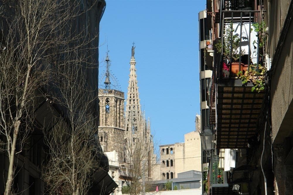 Hostal Cel Barcelona - photo 8
