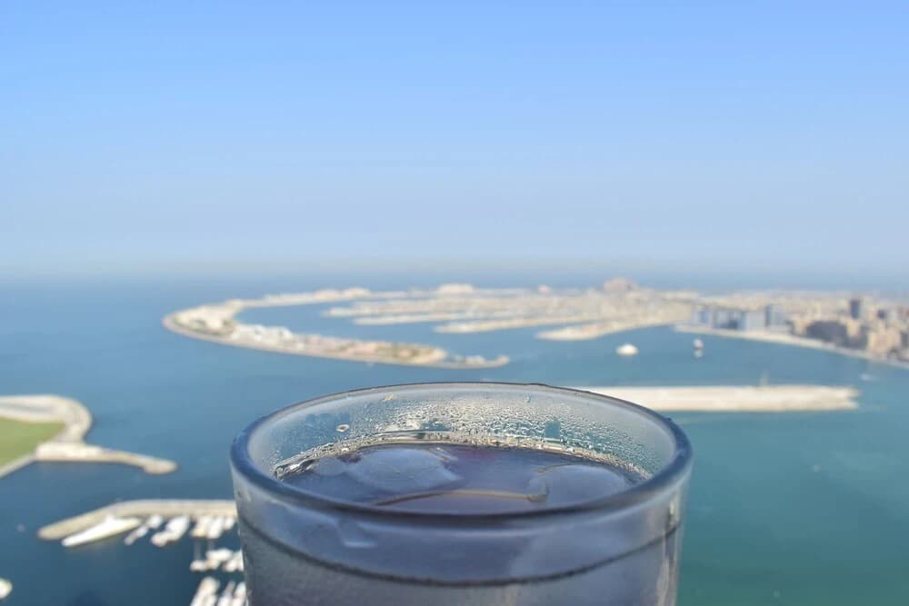 Top Dubai Apartment - photo 15