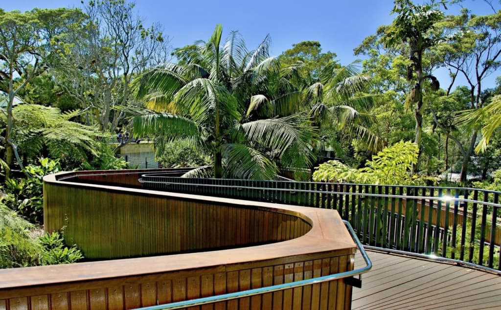 Manly's Hidden Gem - photo 31