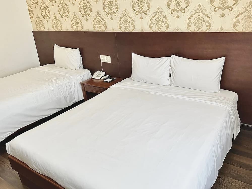 Nature Hotel Da Nang - photo 5
