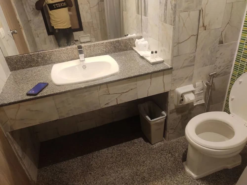 Hotel Metro Inn - photo 5
