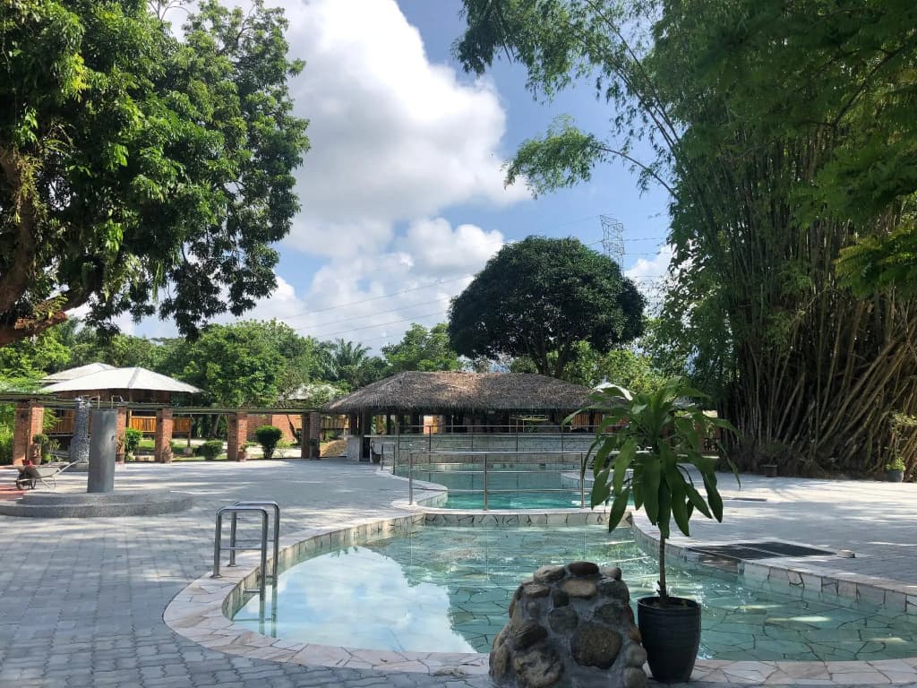 The Roots Eco Resort - photo 6