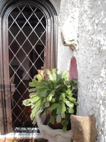 Borgo Pio Holiday - photo 8