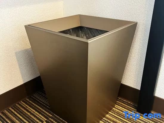 Nplus HOTEL Tokyo Nihonbashi - photo 10
