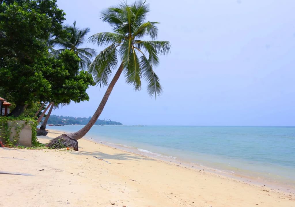 Pao Jin Poon Beach Front Villa - photo 17