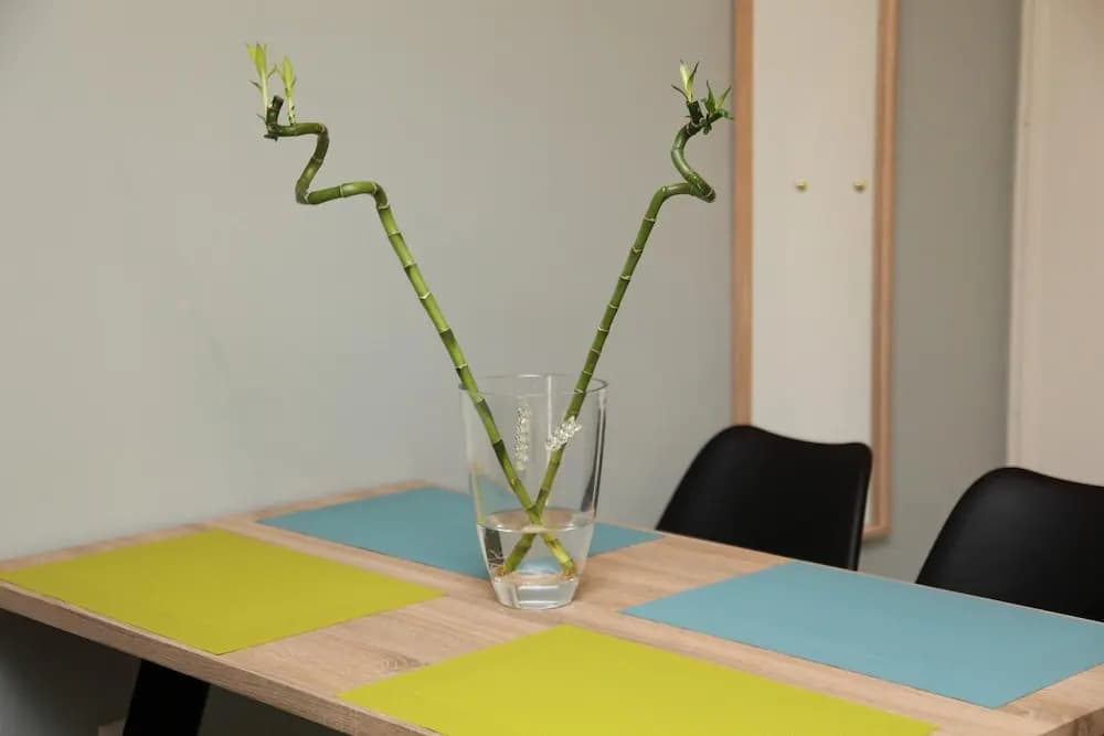 Ariadni s Athenian Apartment - photo 12