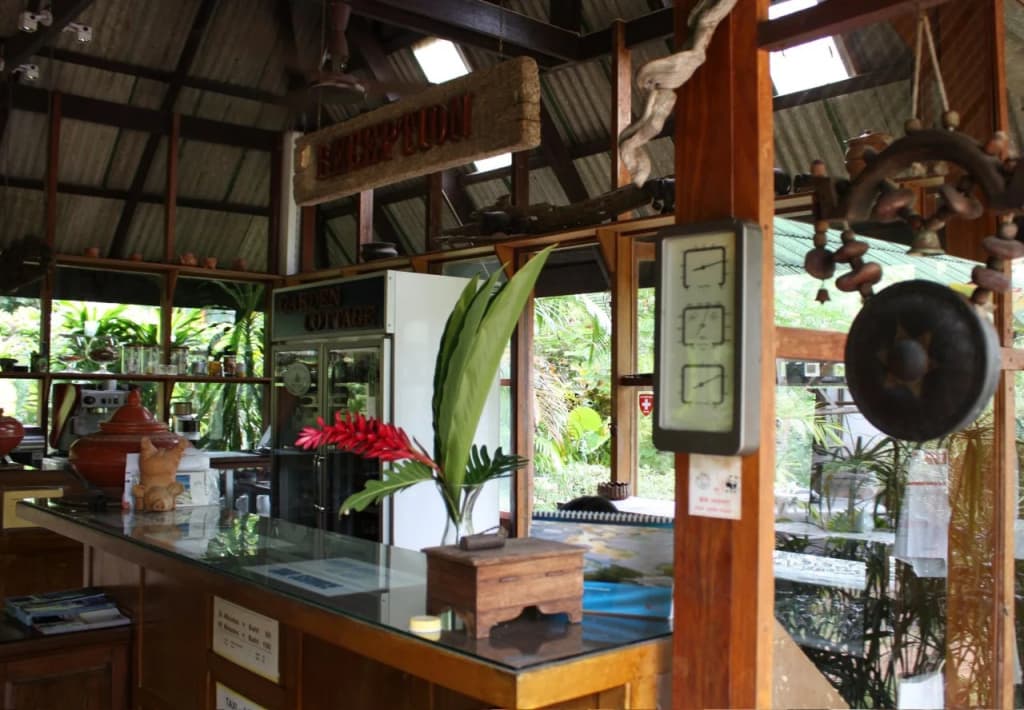 Garden Cottage - photo 9