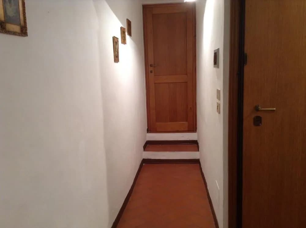 Vellutini Number One - photo 10