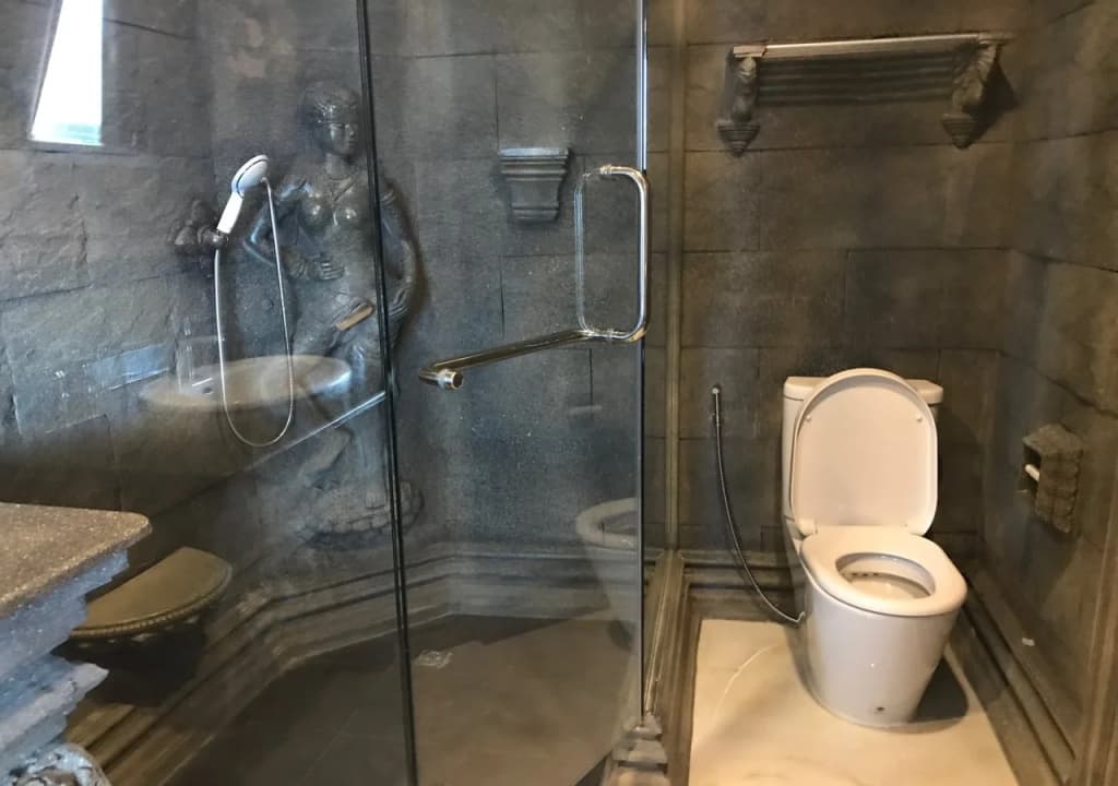 Le Palais Hotel - photo 11