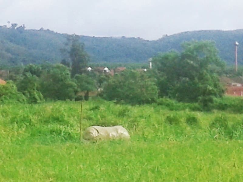 Yesterday Country Resort - photo 17