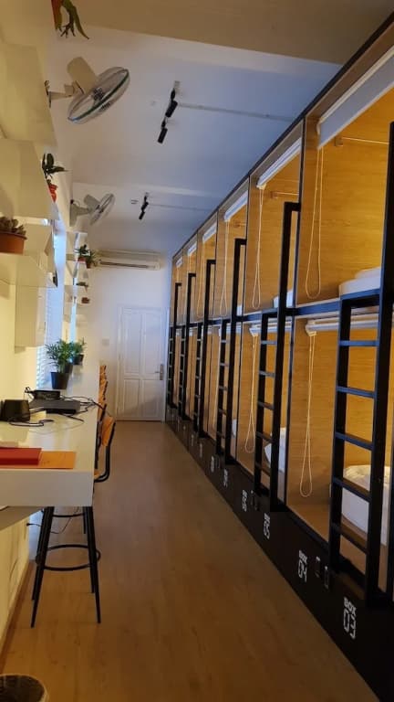 White House Hostel - photo 6