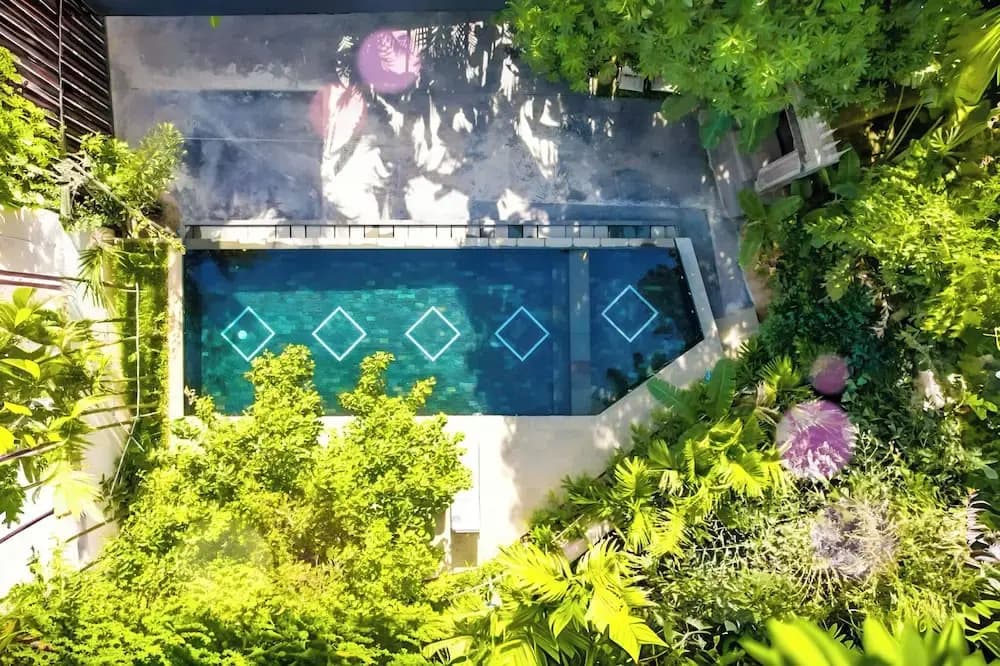 Tropical Garden House - photo 17
