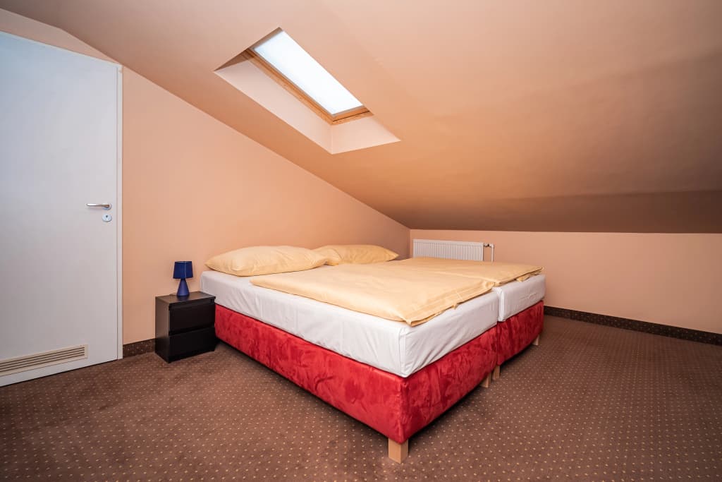 Hotel Czechia - photo 5