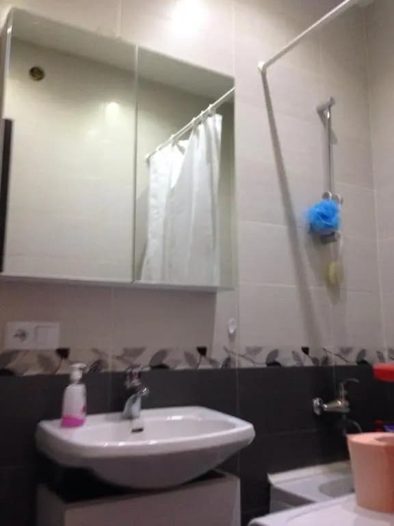 26 Chavchavadze Flat - photo 7