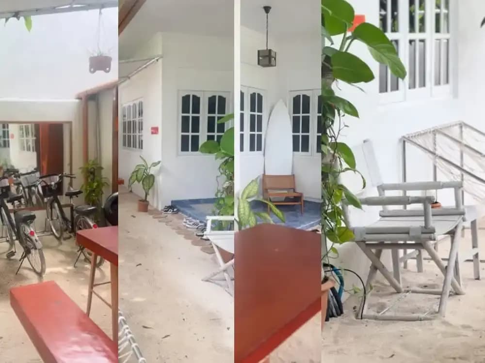 Bahaaru Villa Surf and Stay - photo 15